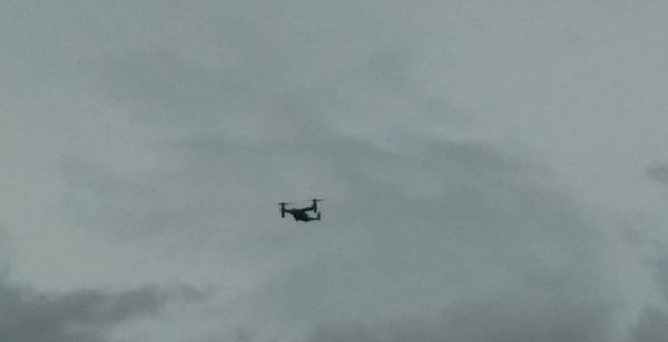 Presencia Militar en Utuado